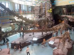 -安徽省地质博物馆