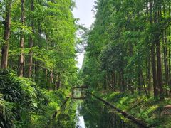 -东平国家森林公园