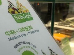 -Salud撒露欧洲冻酸奶(蓝色港湾店)