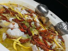 -太二酸菜鱼(沈阳万象城店)