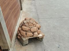 -临高吉海土窑海鲜(琼山店)