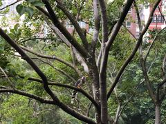 -香港大学