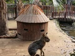 -呀路古热带植物园