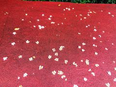 -敬亭山风景名胜区