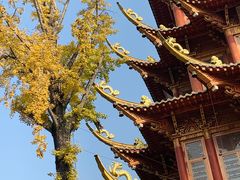 -龙潭水乡