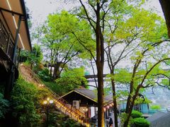 -巴倒烫陆派重庆火锅(南山店)
