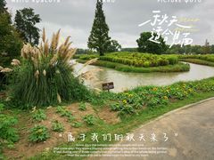 -花开海上生态园