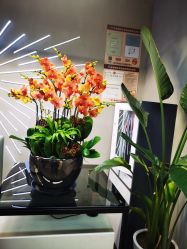 -SEBASTIAN塞巴斯汀