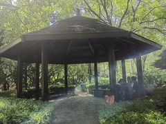 -前关湿地公园