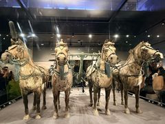 -秦始皇帝陵博物院-丽山园