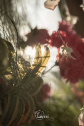 -蘭club婚礼策划