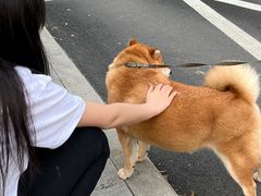 -海底捞火锅(百乐门广场店)