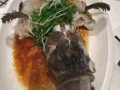 -强记海鲜·大排档(蛇口新街店)