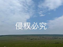 -空中草原