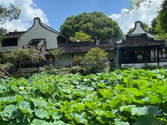 -上海醉白池公园