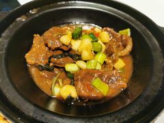 -禧宴Joyous Restaurant(禧园店)