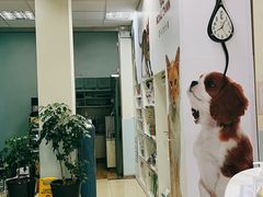 -瑞派申生动物医院·24H夜诊·国际动物医疗中心·骨外科(吴中路店)