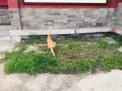 -大钟寺古钟博物馆