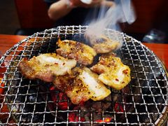 -大阪烧肉BAKA一代(十亩地店)