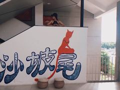 -猫咪博物馆(顶澳仔猫街店)