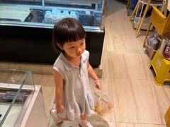 -小淘圆儿·四季口味蛋糕