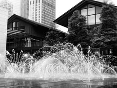 -Apple零售店(成都太古里店)