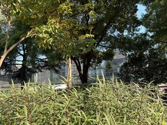 -海上海弘基休闲广场