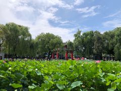 -四川大学(望江校区)