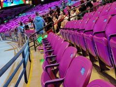 -广州长隆国际大马戏