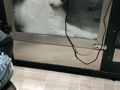 -宠颐生汉谟拉比宠物医院