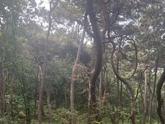 -红螺寺
