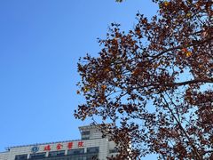 -瑞金医院-门诊部