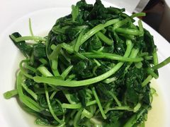 -金枝玉叶上海人家食府(三里河店)