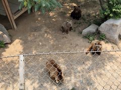 -石家庄市动物园