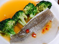 -大树餐厅(红旗街万达店)