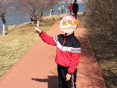 -丁香湖公园