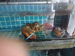 -阿娘家·原生态农家菜(国顺东路店)