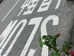 -成记士多(石澳道)