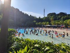 -重庆海昌加勒比海水世界