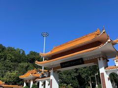 -深圳仙湖植物园