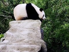 -宁波野生动物园