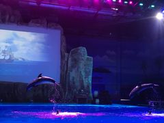 -华夏文旅海洋公园