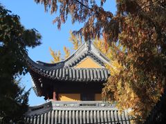 -龙华寺