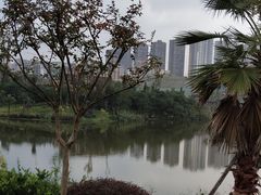 -枫香湖儿童公园