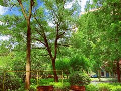 -徐家汇源景区-衡山公园