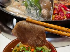 -江北北火锅馆·公路夜市(魏公村店)