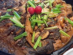 -老板恋上鱼(恒隆广场店)