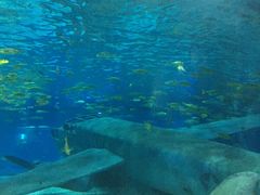 -福州罗源湾海洋世界旅游区