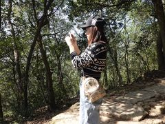 -西湖风景区十里琅珰-五云山