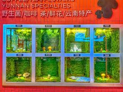 -芸山季·云南野生菌火锅(宝能环球汇店)